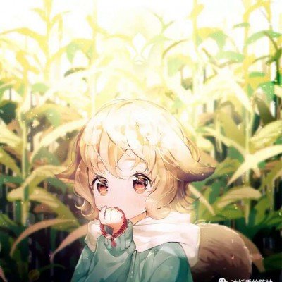 研究生举报二手烟后失去朋友和推荐信